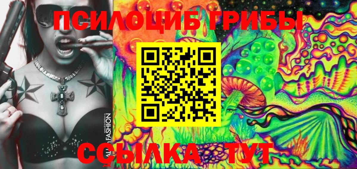 Галлюциногенные грибы Psilocybe  Псилоцибиновые грибы Psilocybe  Вход с VPN  Ейск 